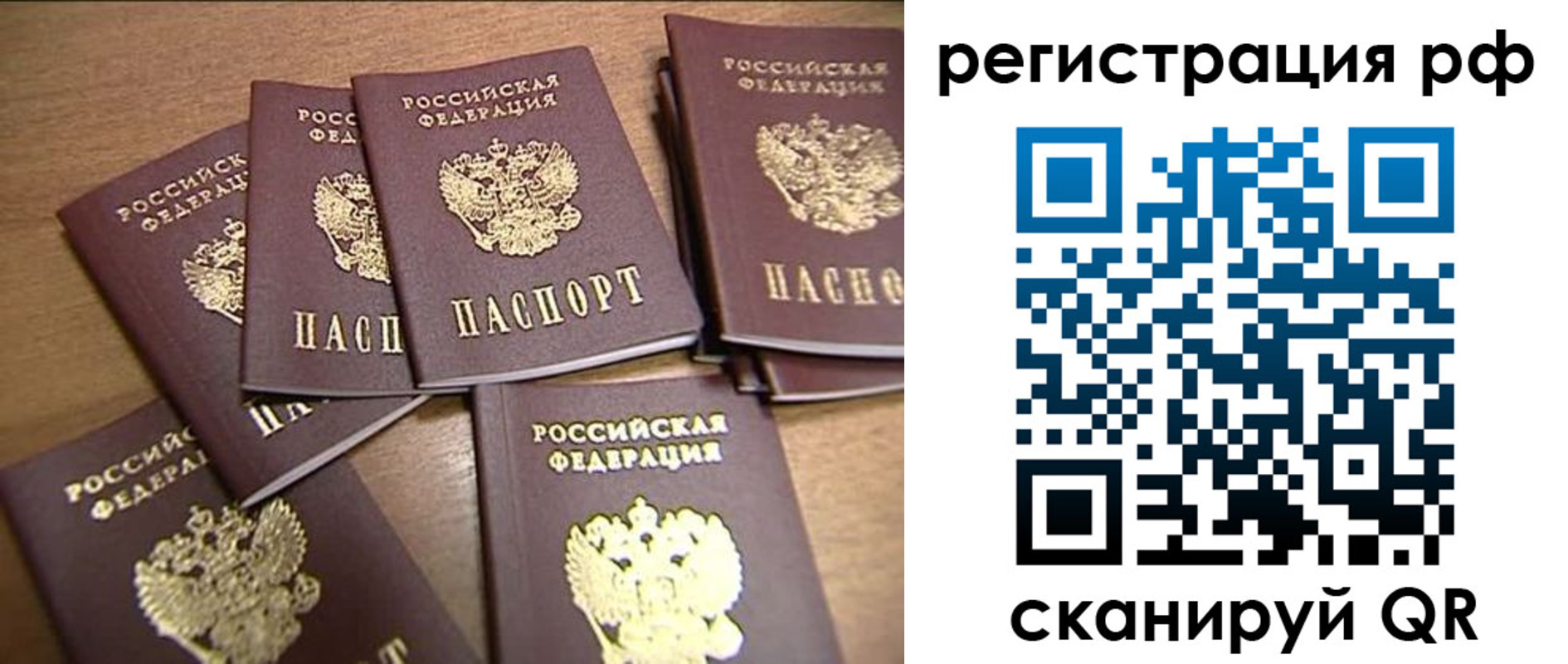 найти адрес прописки в Кольчугино